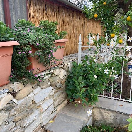彼得拉桑塔Antica Casa Nel Borgo公寓 外观 照片